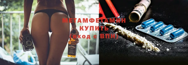 прущие грибы Заводоуковск