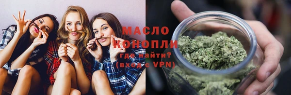 дмт Ельня