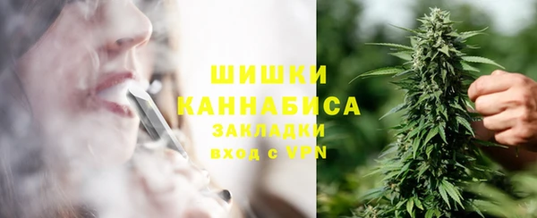 дмт Ельня