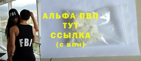 прущие грибы Заводоуковск