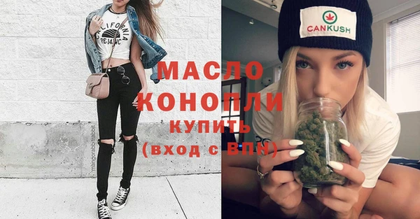 дмт Ельня
