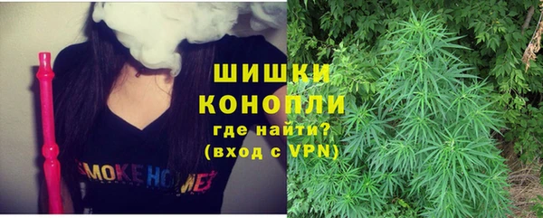 дмт Ельня