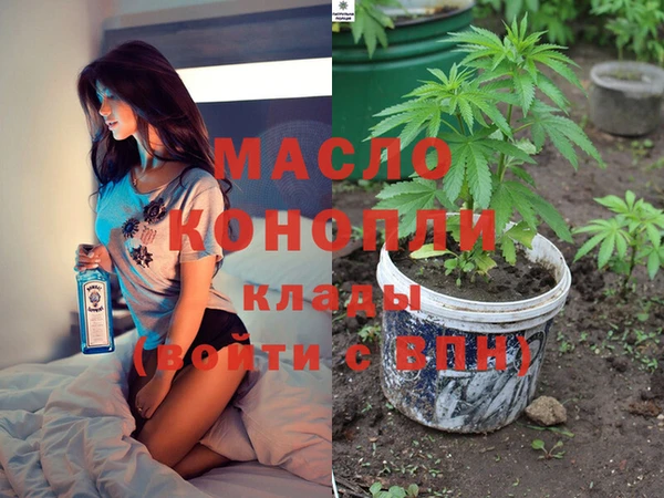 дмт Ельня