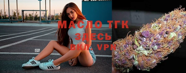 дмт Ельня