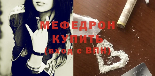 дмт Ельня