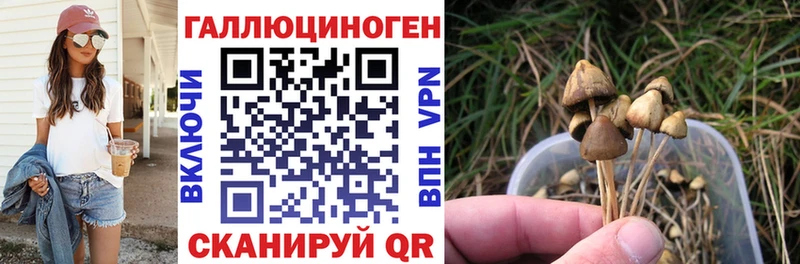 Купить закладки  Петухово  Галлюциногенные грибы MAGIC MUSHROOMS 